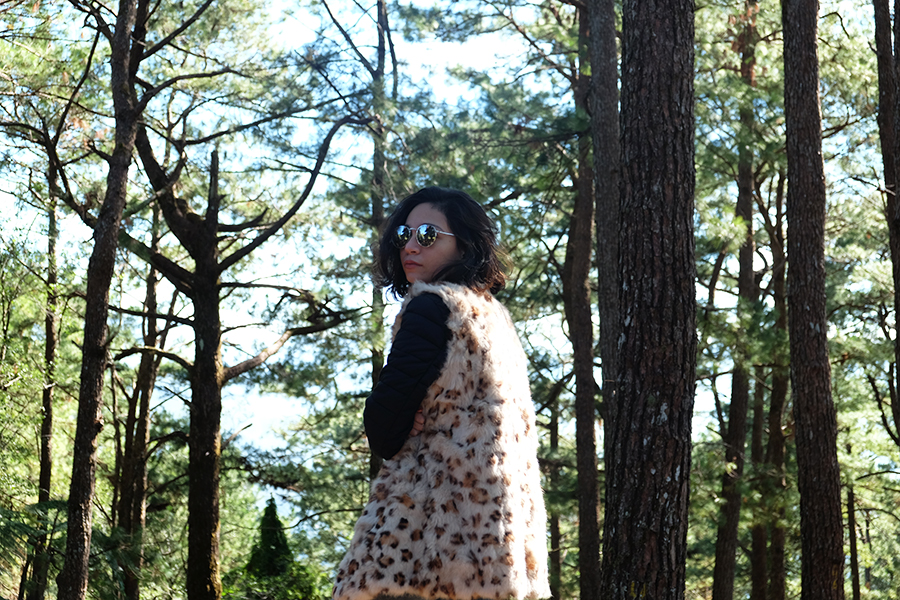 baguio-camp-john-hay4